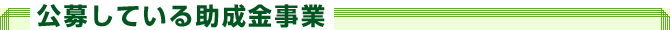 公募している助成金事業